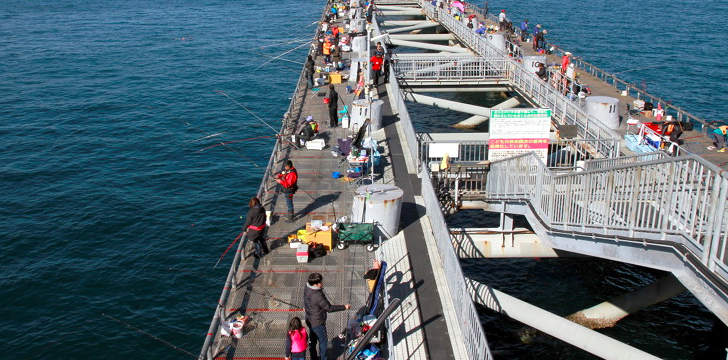 小島 パーク とっ と 大阪の釣れる釣り場！初心者にもおすすめな海釣り公園【とっとパーク小島】